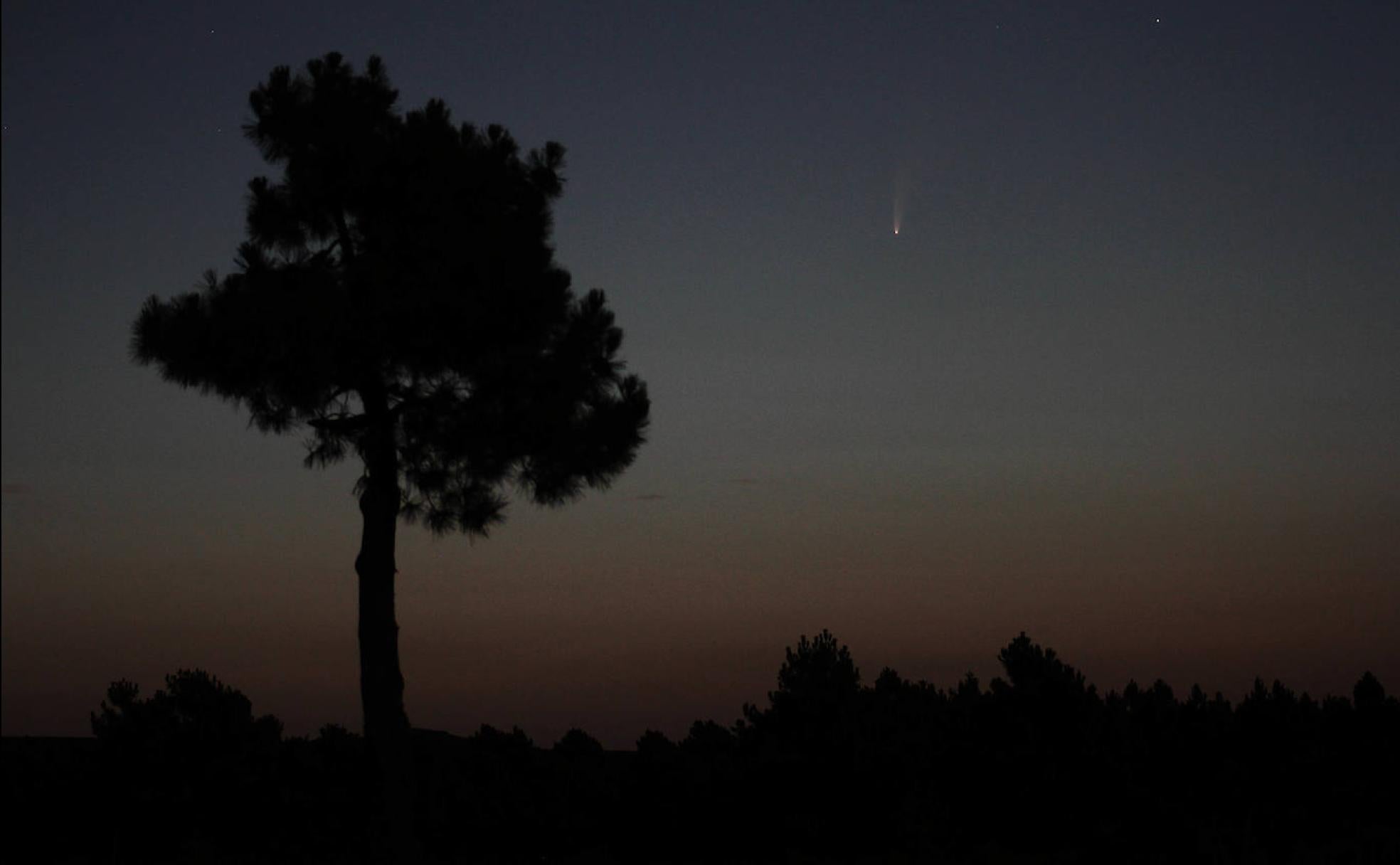 El cometa C/2020 F3 Neowise se alza al alba sobre el horizonte Noreste de la comarca leonesa de la Cepeda.