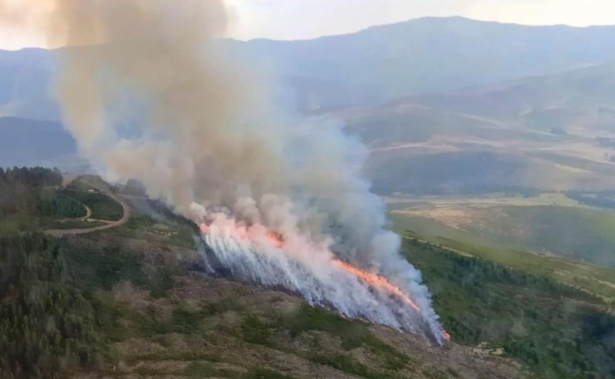 Imagen del incendio declarado en Corporales. 