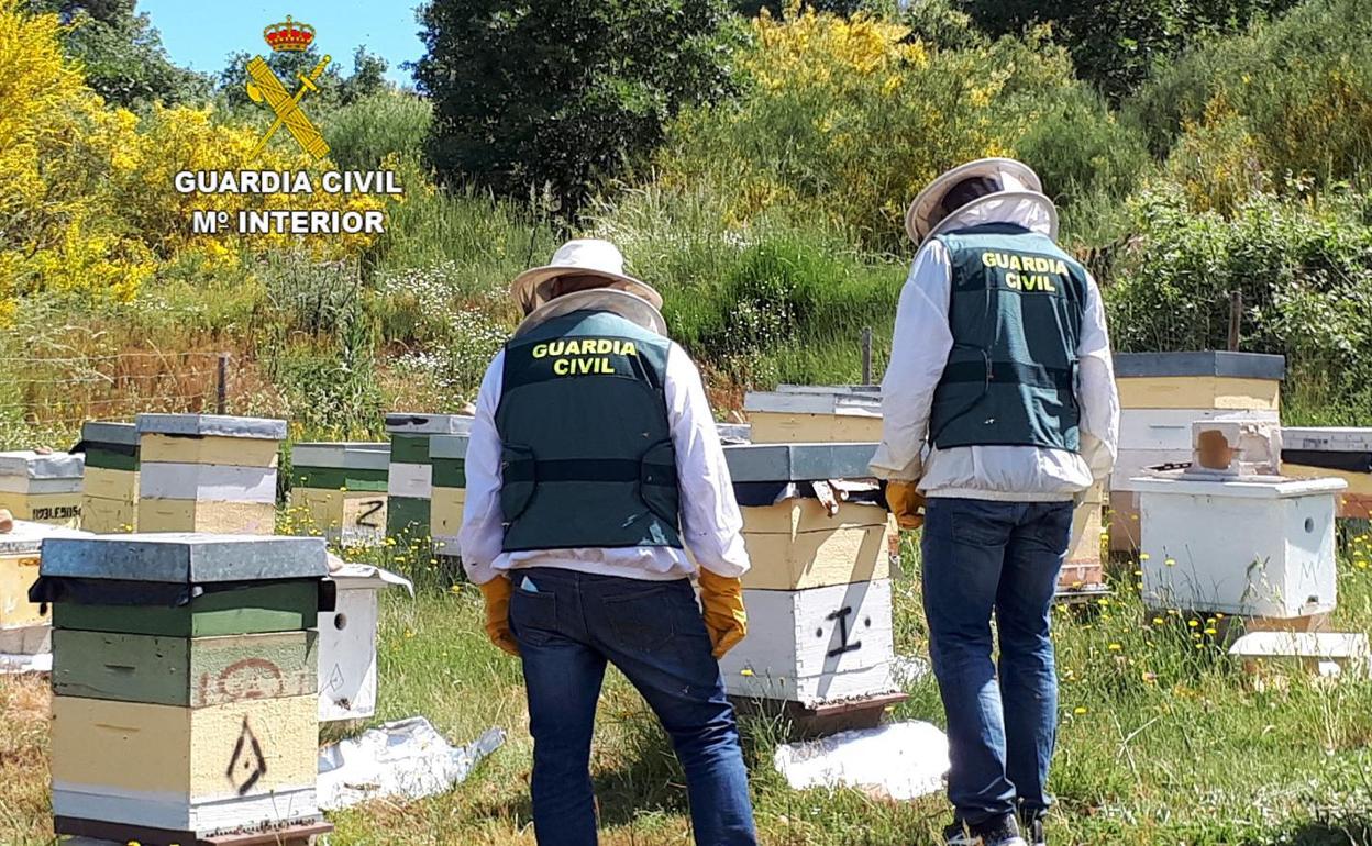 Dos guadias civiles recuperan los objetos sustraidos.