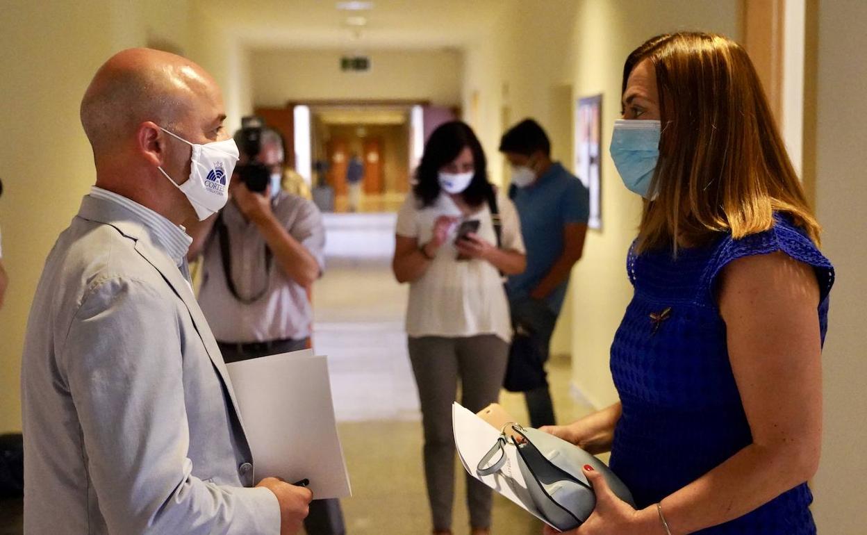 La viceportavoz del Grupo Parlamentario Socialista, Virginia Barcones, conversa con el portavoz parlamentario de Ciudadanos David Castaño antes de la Junta de Portavoces de la Mesa de las Cortes.