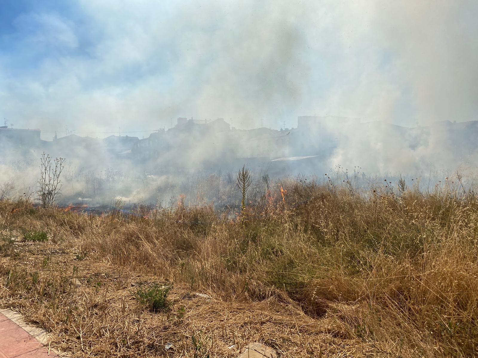 El fuego ha devorado parte del prado de esta zona de la capital leonesa.