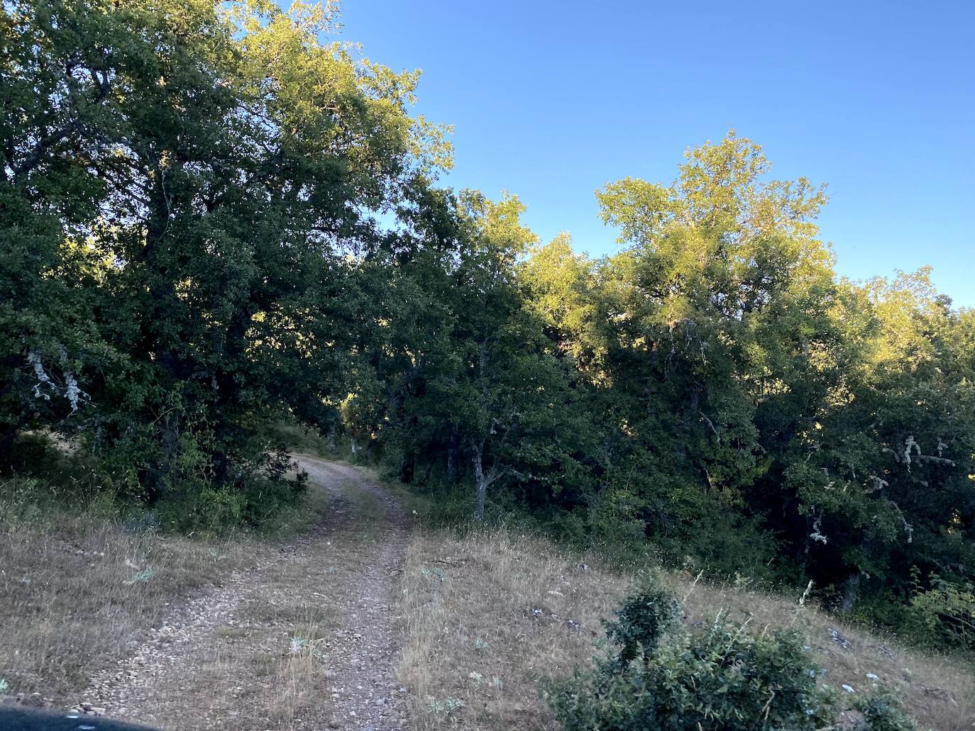 Fotos: Los pueblos olvidados: Quintana de la Peña