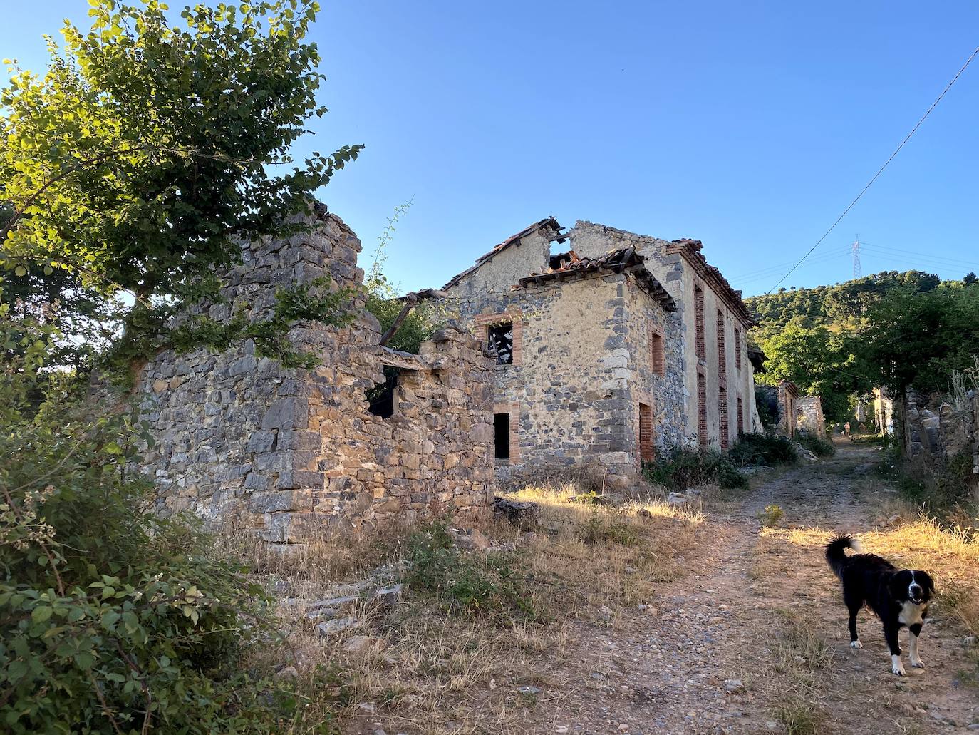 Fotos: Los pueblos olvidados: Quintana de la Peña