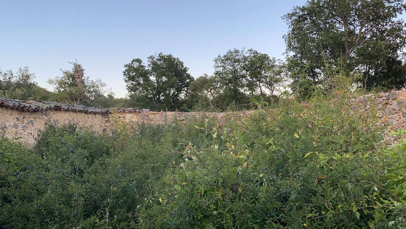 Fotos: Los pueblos olvidados: Quintana de la Peña