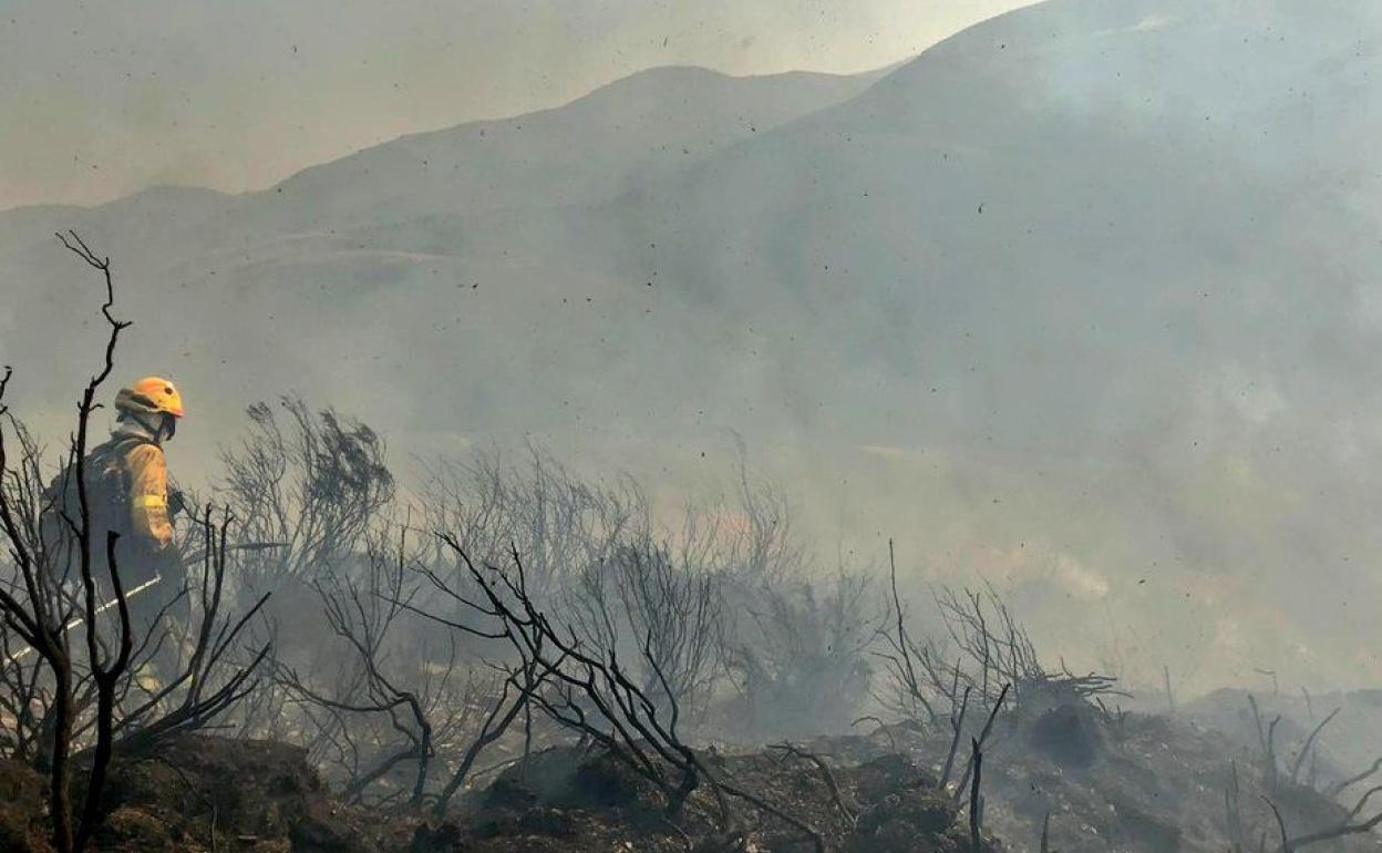 Brigadistas interviniendo durante un incendio en la presente campaña. 