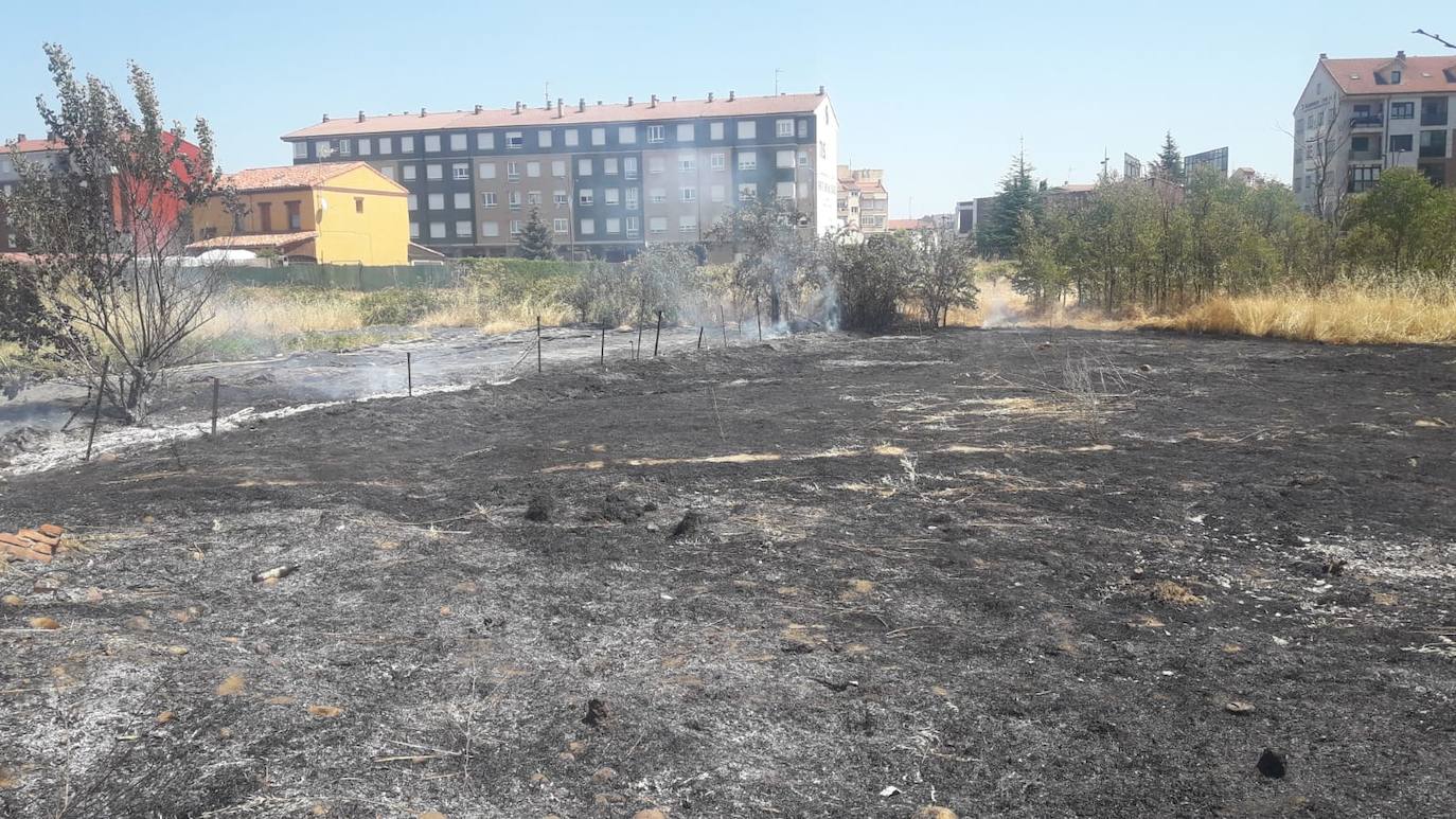 Incendio en una parcela de San Andrés del Rabanedo. 