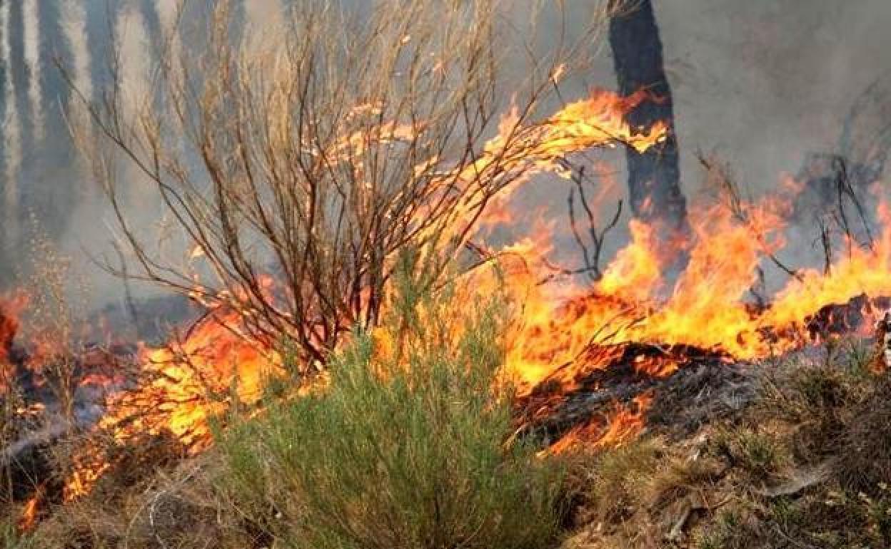 Un incendio anterior vivido en la provincia.