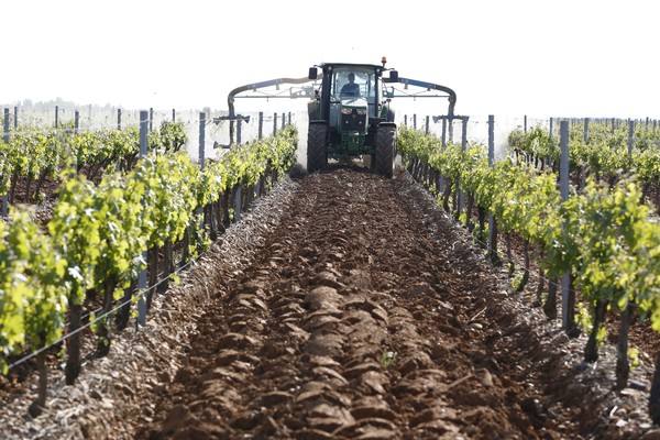 El Consorcio Provincial de Turismo y Leonoticias realizan un recorrido por las tierras vitivinícolas de la provincia para conocer de cerca la DO Bierzo y la Do León dos zonas con denominación de origen 