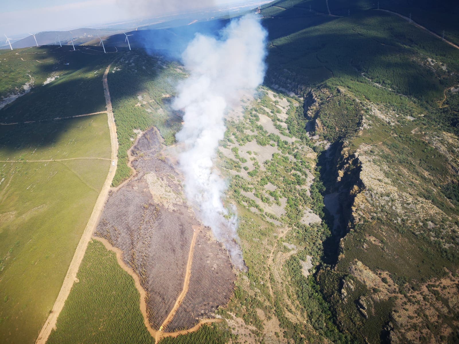 Fotos: Brif Tabuyo en el incendio de Montealegre