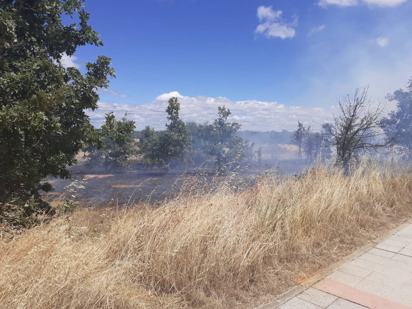 El incendio, cuyas causas se desconocen por el momento, se ha iniciado en torno a las 14:20 horas de este domingo y ha sido controlado por efectivos de Protección Civil