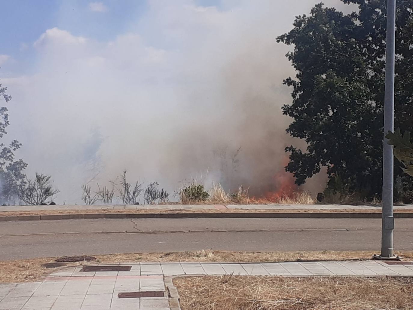 El incendio, cuyas causas se desconocen por el momento, se ha iniciado en torno a las 14:20 horas de este domingo y ha sido controlado por efectivos de Protección Civil