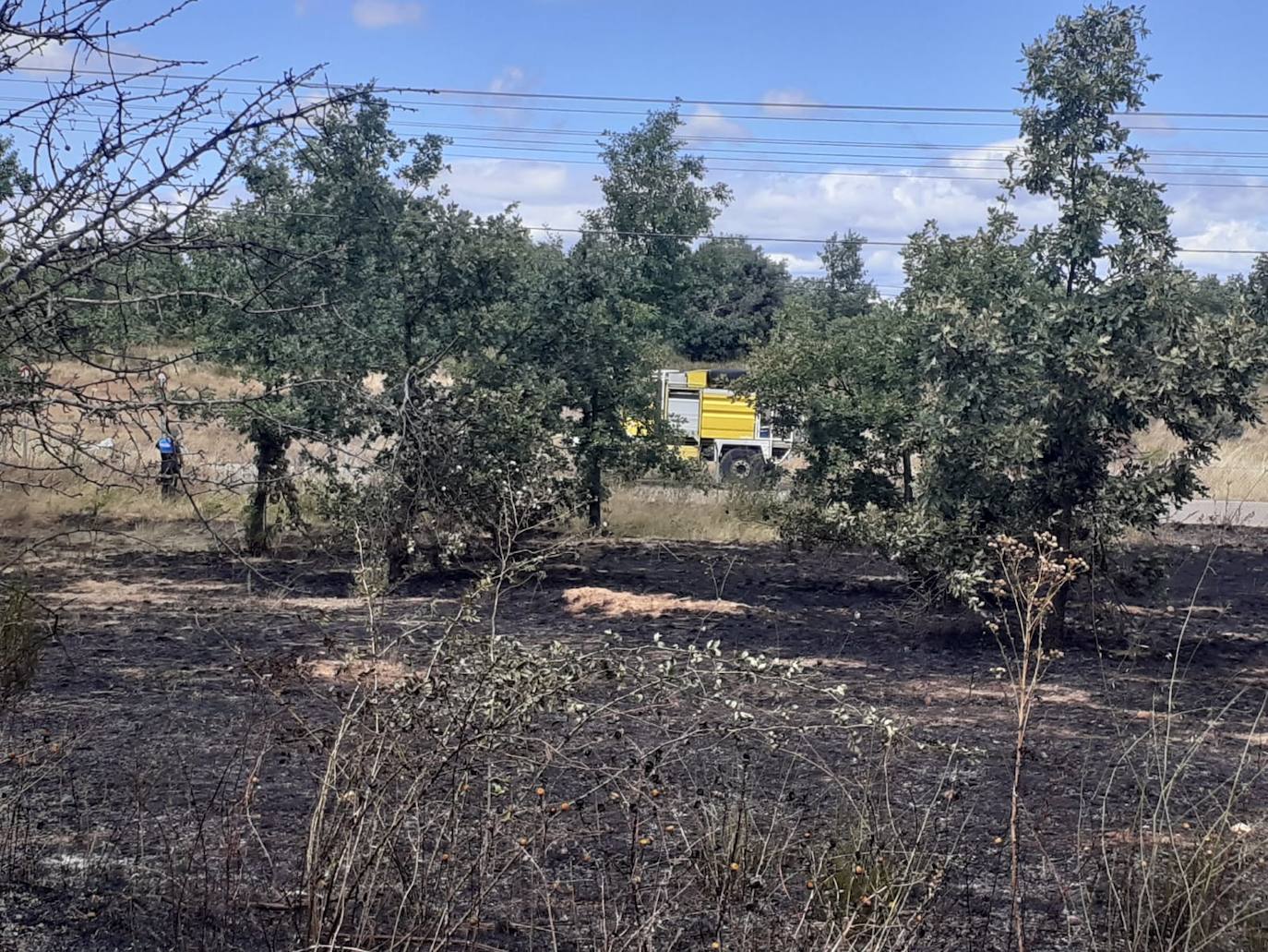 El incendio, cuyas causas se desconocen por el momento, se ha iniciado en torno a las 14:20 horas de este domingo y ha sido controlado por efectivos de Protección Civil