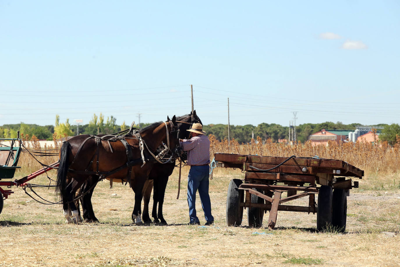 Fotos: Las localidades de Íscar y Pedrajas de san Esteban (Valladolid) terminan los 14 días de cuarentena