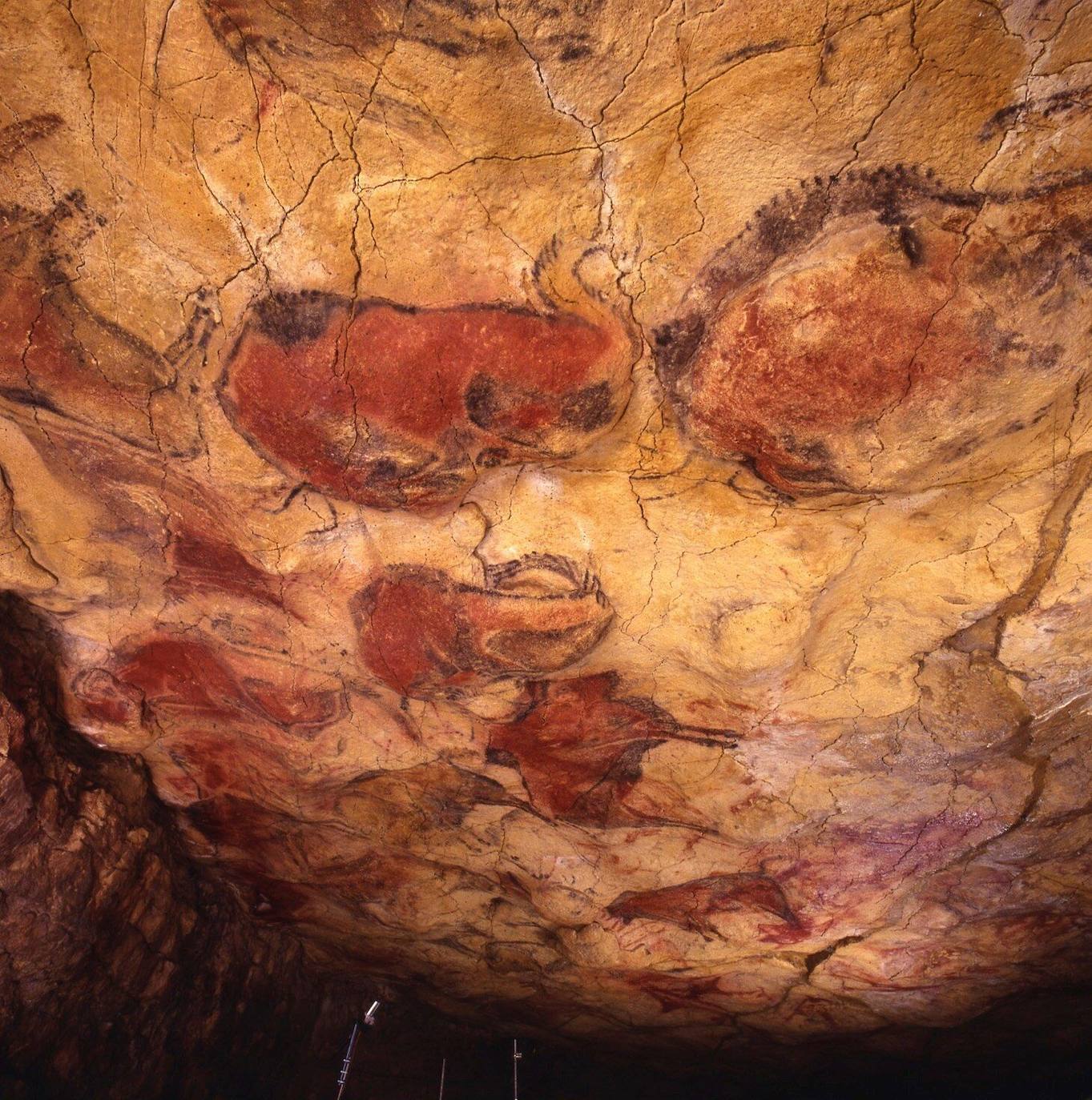 Cueva de Altamira