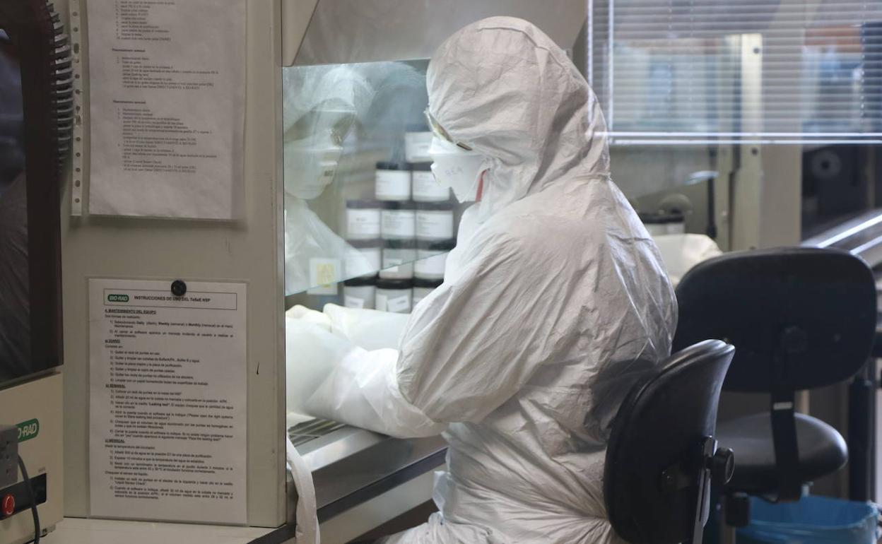 Análisis de una muestra PCR en el Laboratorio Regional de Sanidad Animal de León.