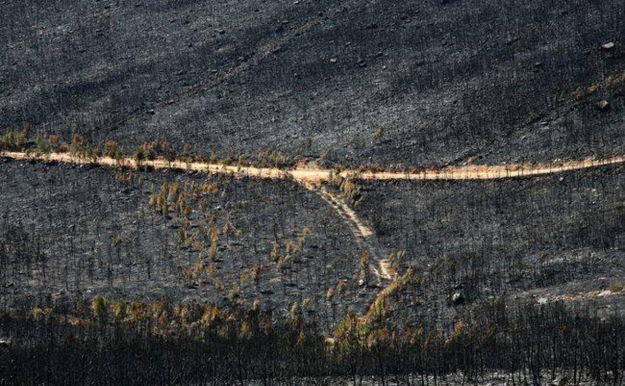 Restos calcinados del incendio en 2012. 