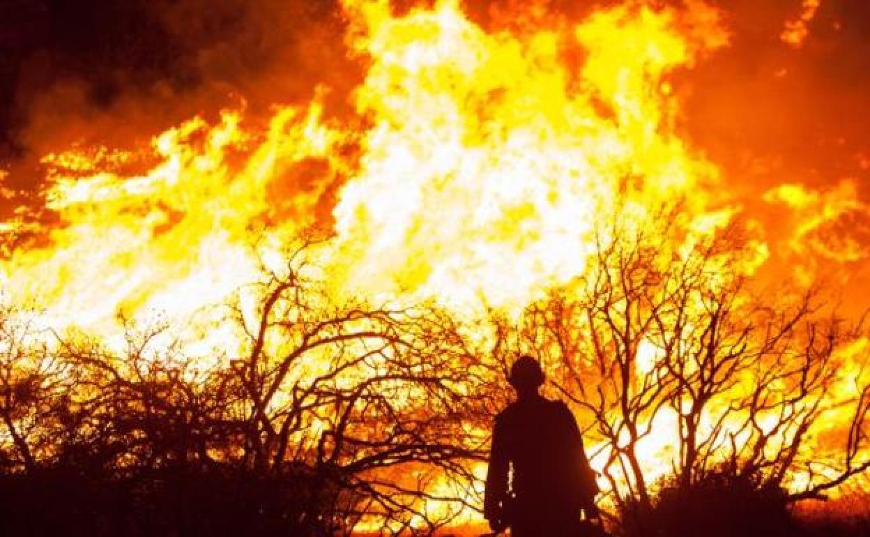 Imagen de un incendio forestal. 