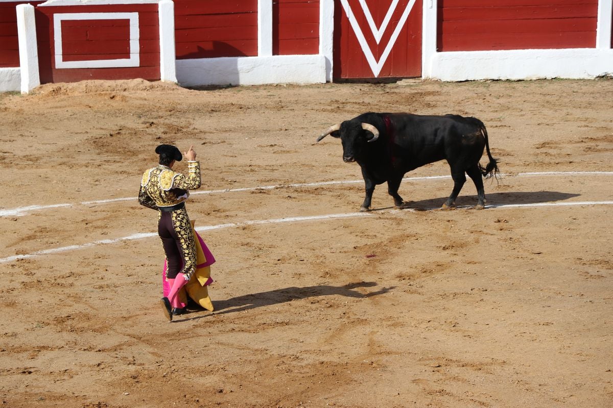 Astorga vive uno de los pocos festejos taurinos de la comunidad.