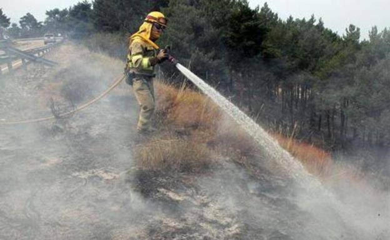 Dos incendios intencionados consumen más de 10 hectáreas de la provincia