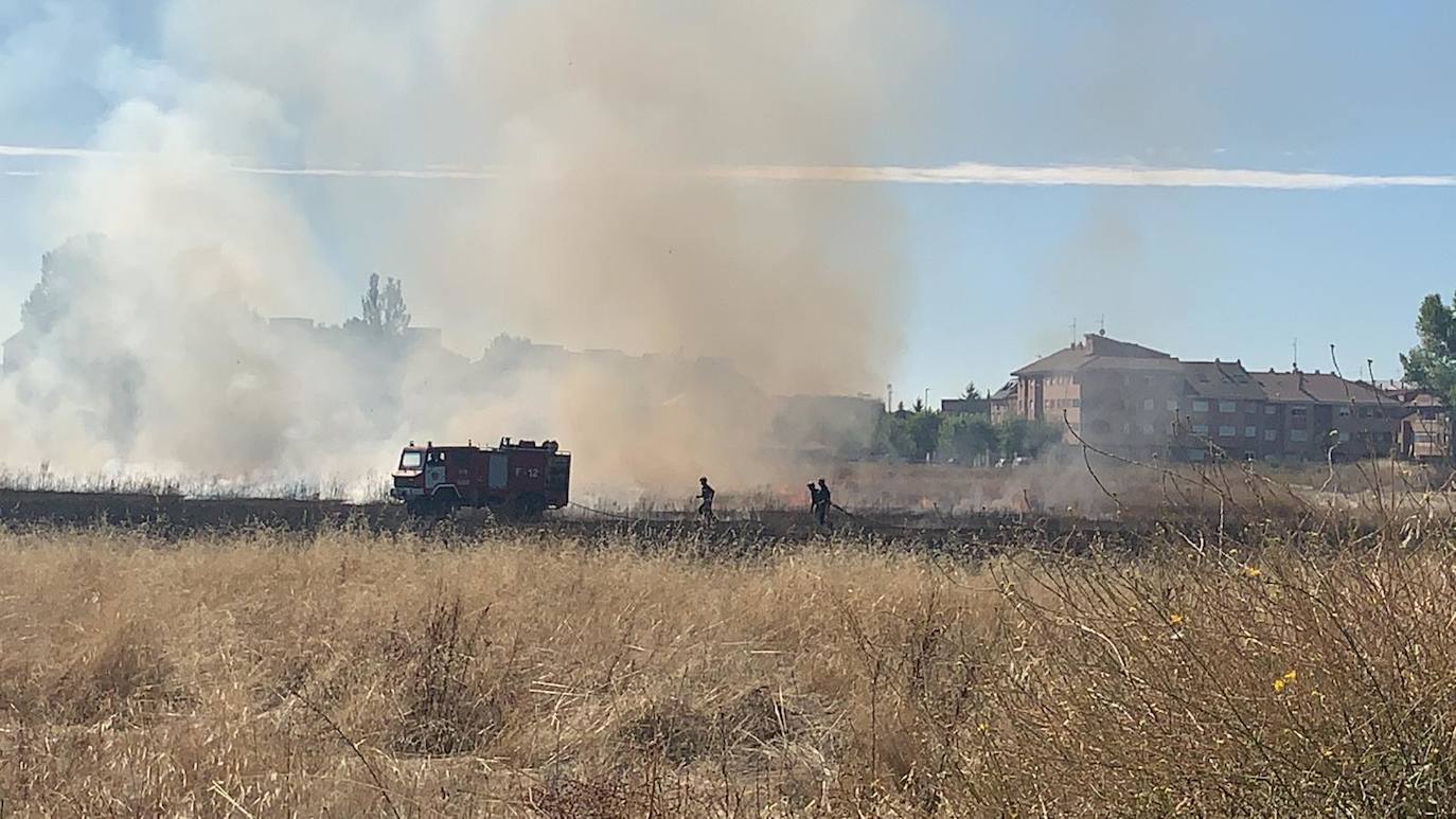 Una dotación de Bomberos de la capital leonesa ha tenido que intervenir para sofocar las llamas, que han arrasado la maleza de la parcela. 