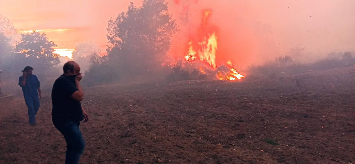 Fotos: Incendio en Nogarejas