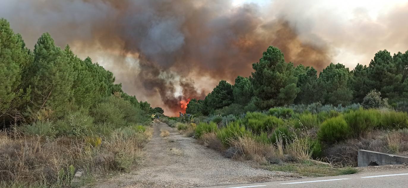 Fotos: Incendio en Nogarejas