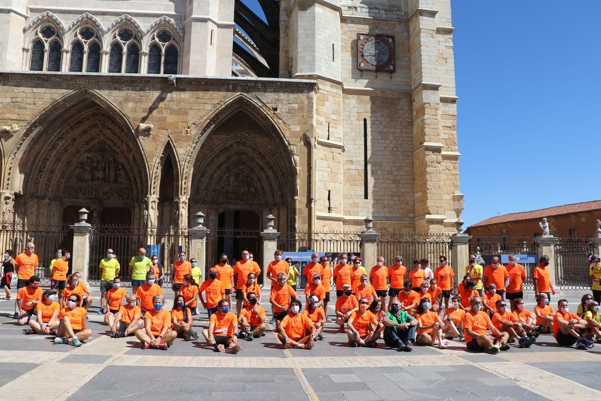 La carrera A Santiago Contra el Cáncer ha llegado este domingo a su destino, este año, sin salir de León.