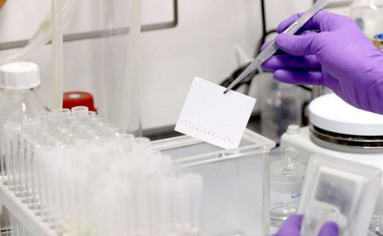 Análisis de coronavirus realizados en la provincia de León.