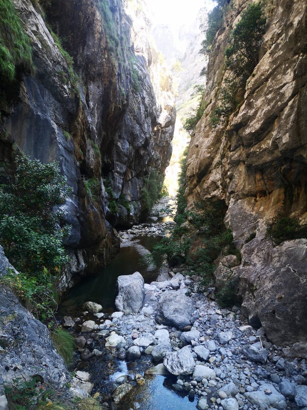 La Casona de Palmira, gastronomía y naturaleza en los Picos de Europa. 