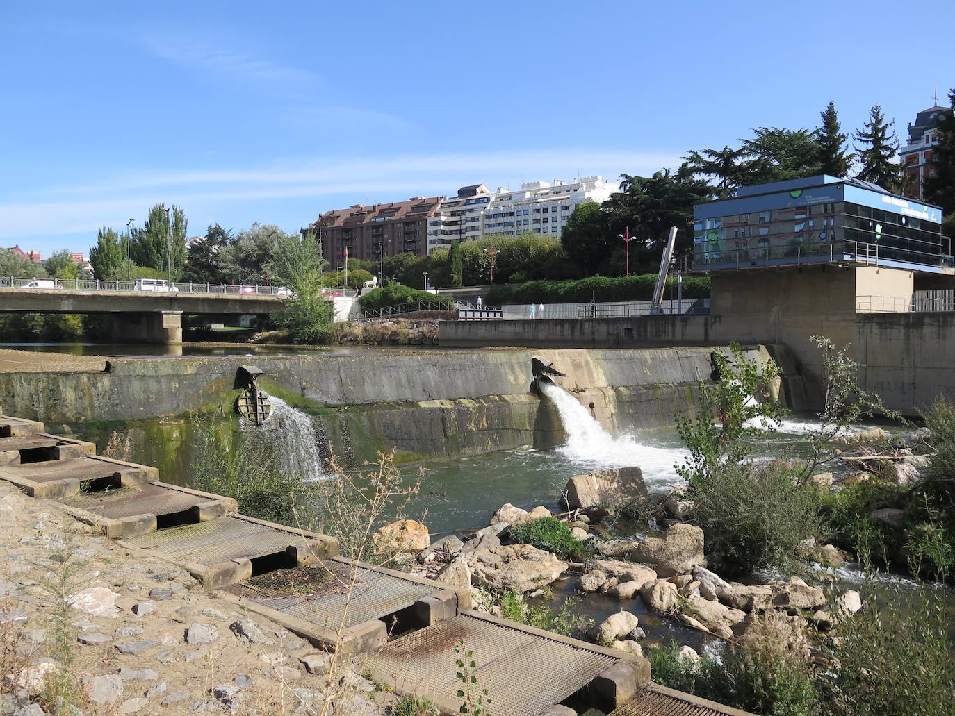 Especialistas trabajan en el tramo urbano del rio a la altura del Puente de los Leones. 