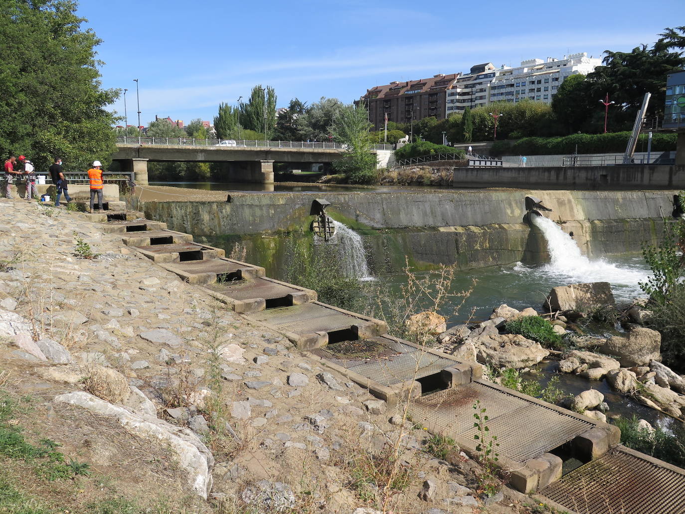 Especialistas trabajan en el tramo urbano del rio a la altura del Puente de los Leones. 