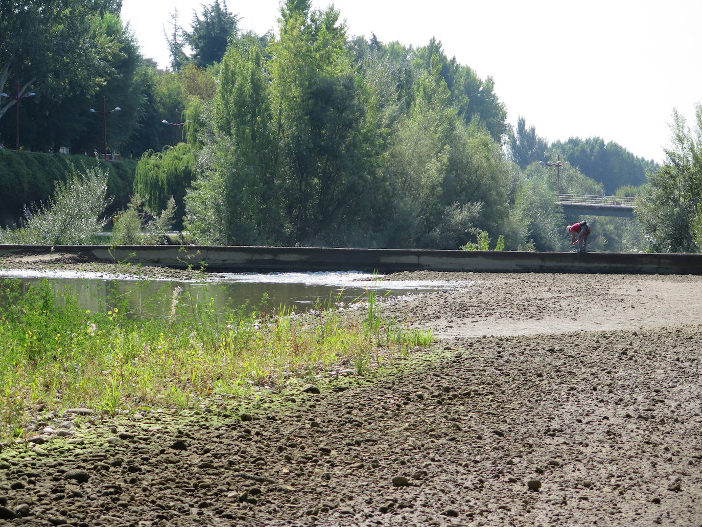 Especialistas trabajan en el tramo urbano del rio a la altura del Puente de los Leones. 