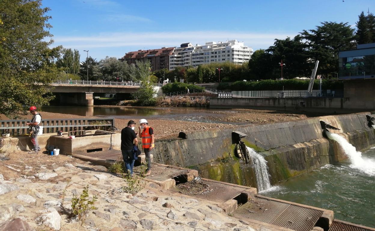 Trabajos en el cauce del Bernesga, durante este miércoles. 