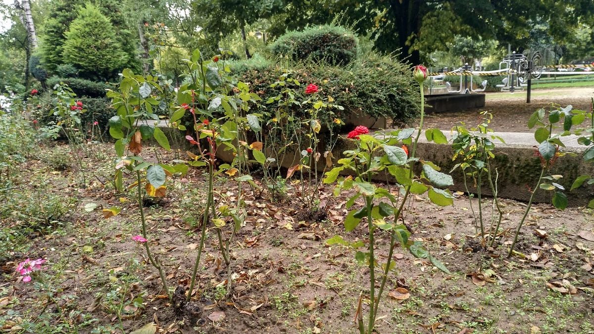 Fotos: El otoño llega el martes