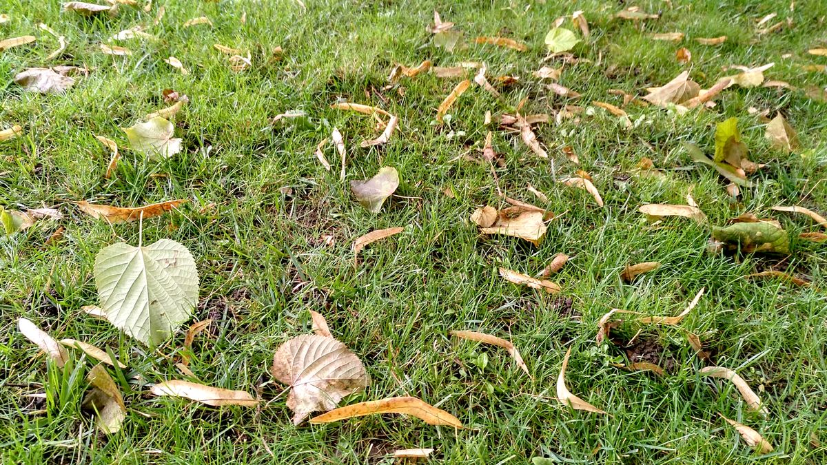 Fotos: El otoño llega el martes