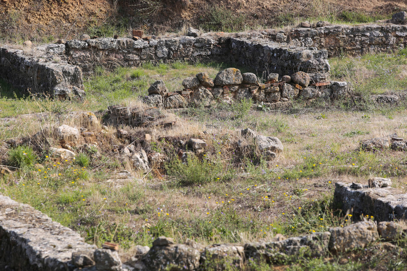 Fotos: Visita al yacimiento de Lancia