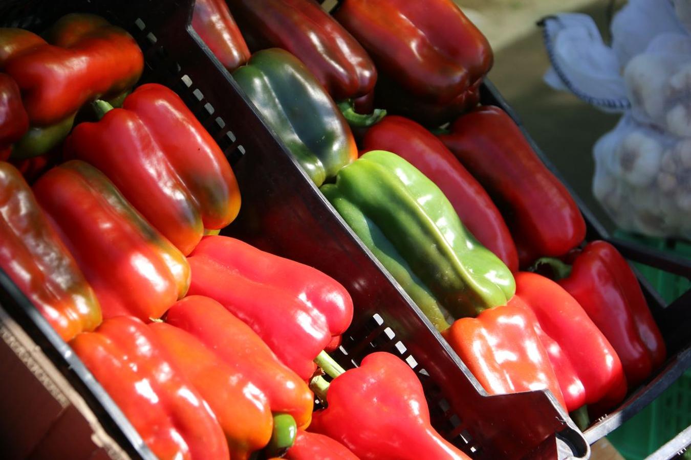 El pimiento de la huerta de Fresno de la Vega se caracteriza por su alta calidad y su gran sabor. 