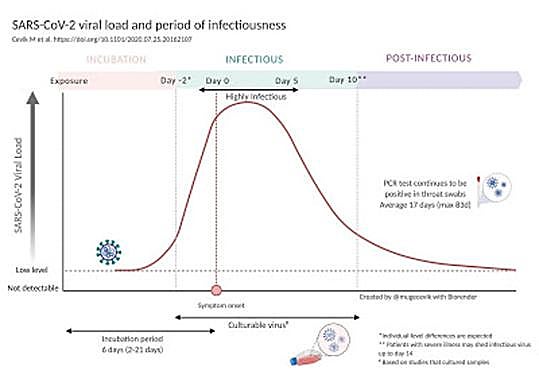 Evolución de los niveles de infectividad.