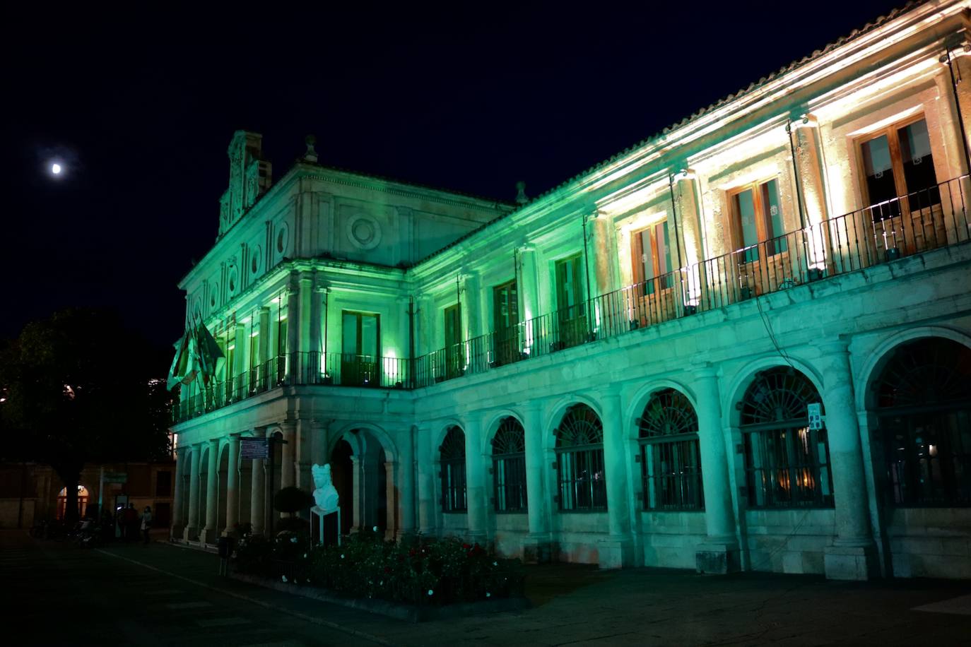 La Catedral, la fuente de Santo Domingo y el ayuntamiento de San Marcelo se iluminan del característico verde de las farmacias para rendir homenaje a sus profesionales en su día mundial.