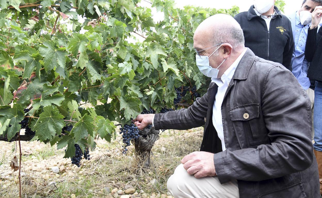 El consejero de Agricultura este sábado en Aranda de Duero.