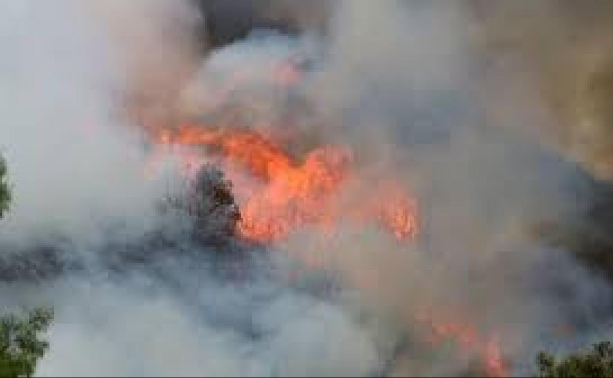 Un incendio en la provincia de León.