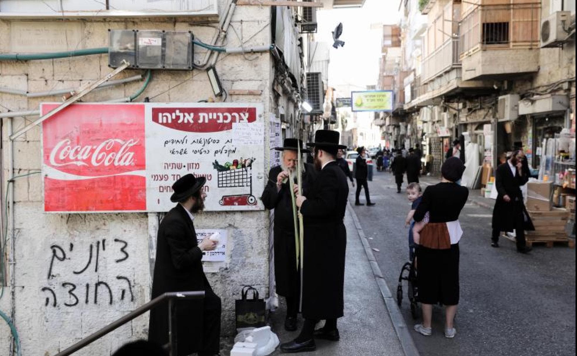 Judíos ultraortodoxos portan en Jerusalén ramas de palma utilizadas durante la celebración del 'Sukot', que comienza mañana.