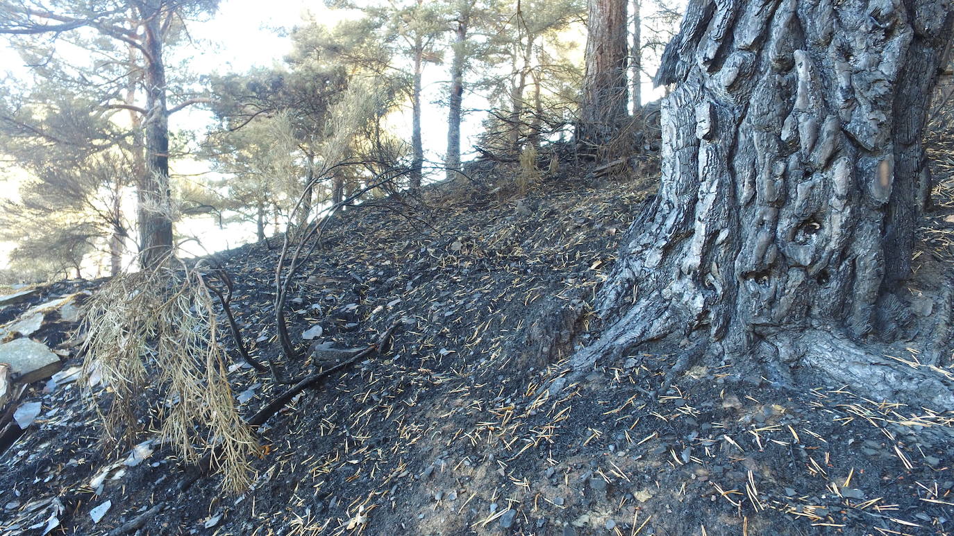 Fueron varios días de miedo, desolación y espanto para los vecinos de esta zona de la provincia de León.