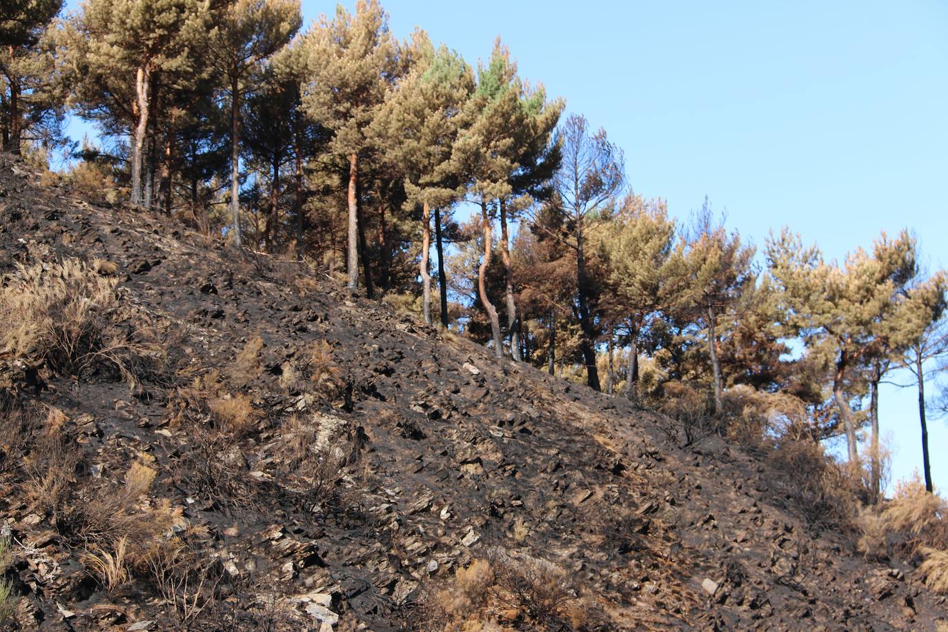 Fueron varios días de miedo, desolación y espanto para los vecinos de esta zona de la provincia de León.