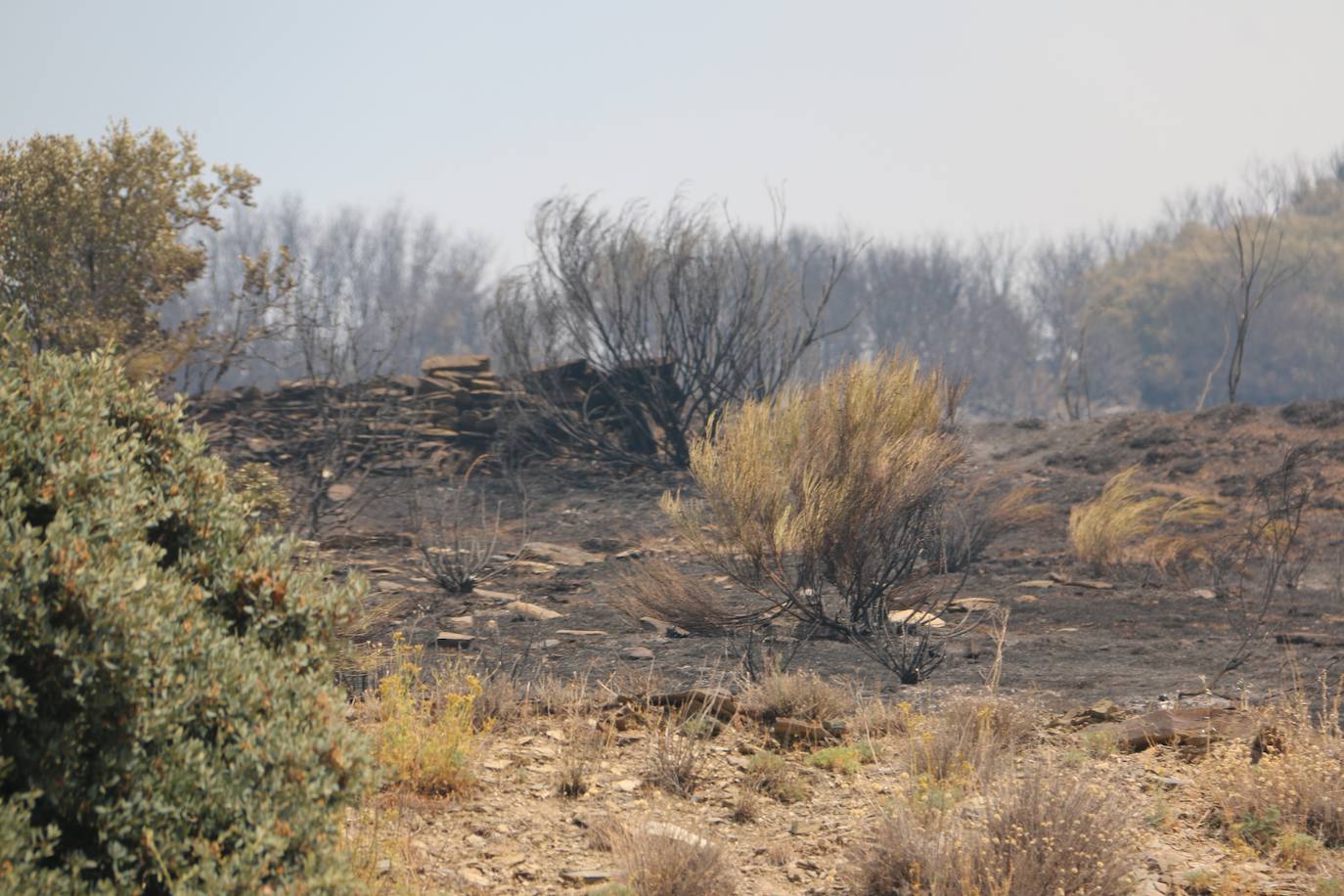 Fueron varios días de miedo, desolación y espanto para los vecinos de esta zona de la provincia de León.