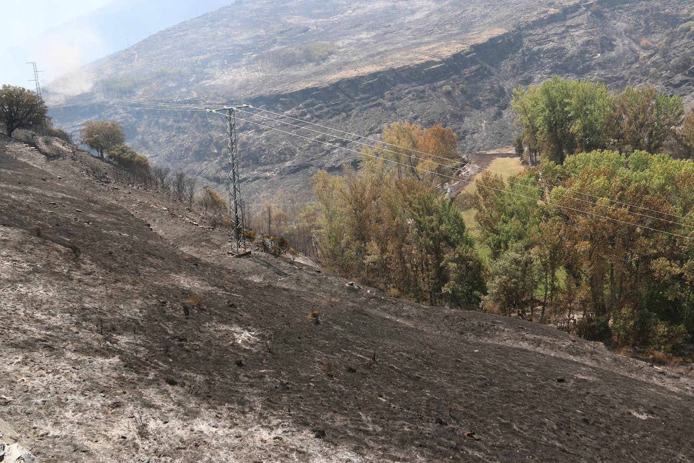 Fueron varios días de miedo, desolación y espanto para los vecinos de esta zona de la provincia de León.