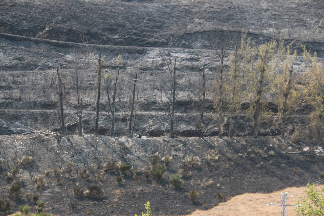 Fueron varios días de miedo, desolación y espanto para los vecinos de esta zona de la provincia de León.