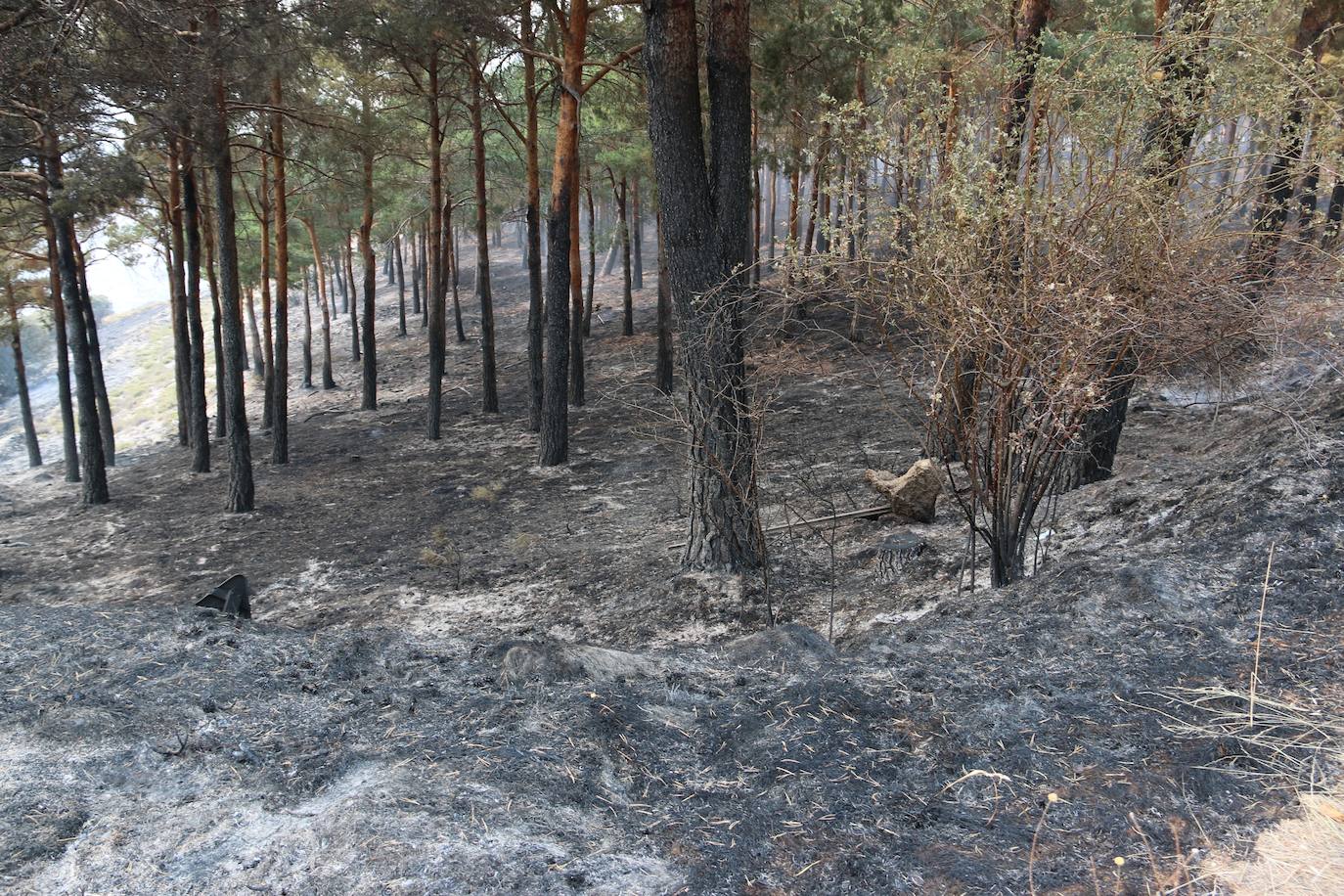 Fueron varios días de miedo, desolación y espanto para los vecinos de esta zona de la provincia de León.