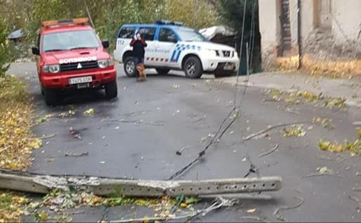 Imagen de la zona en la que ha caído algunos de los árboles.