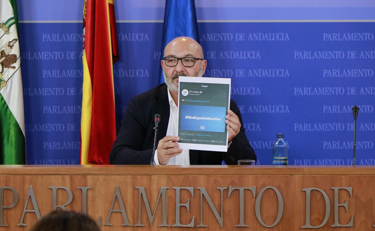 El portavoz de Vox en el Parlamento andaluz, Alejandro Hernández.